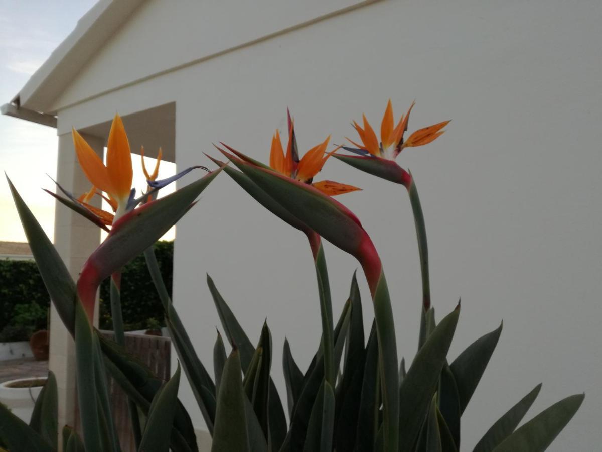 Casa Toscano 拉哥斯 外观 照片